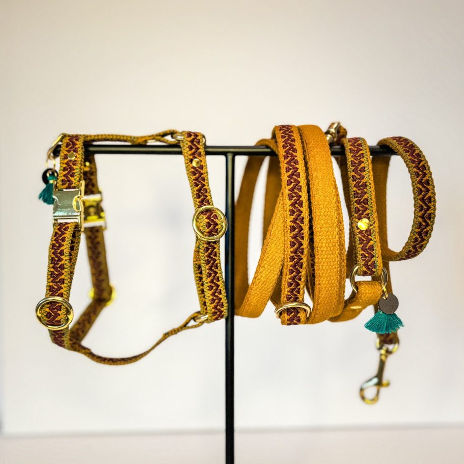 Detailaufnahme: Besticktes Hundegeschirr aus Baumwollgurtband mit verstellbaren Schnallen.
