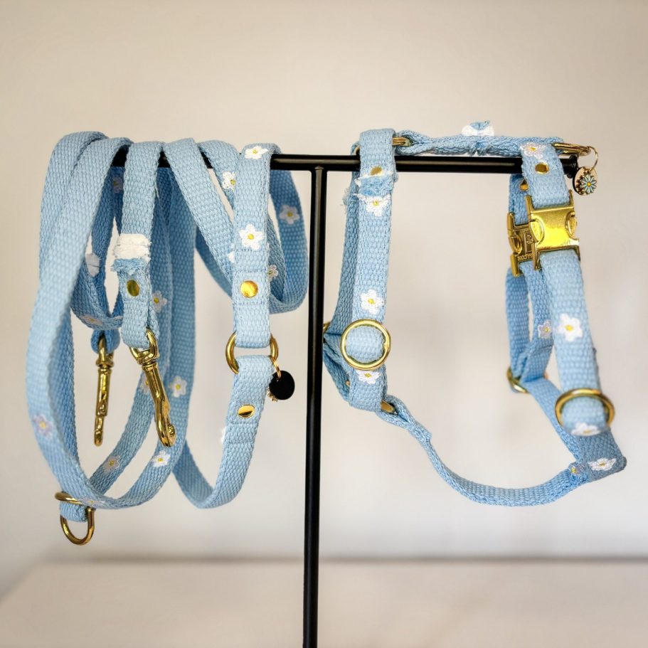 Detailaufnahme: Besticktes Hundegeschirr aus Baumwollgurtband mit verstellbaren Schnallen.