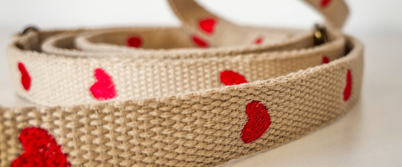 Besticktes Halsband mit goldenen Beschlägen Elegantes Hundehalsband mit individueller Bestickung & edlen goldfarbenen Beschlägen.