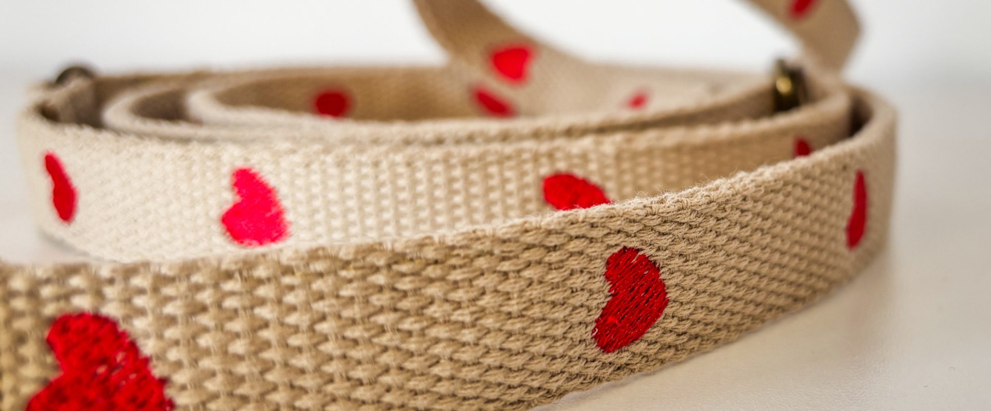 Elegantes Hundehalsband mit individueller Bestickung & edlen goldfarbenen Beschlägen.