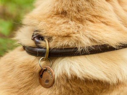 Personalisierte Hundemarke mit eingraviertem Pfotenabdruck – stilvoll & langlebig.