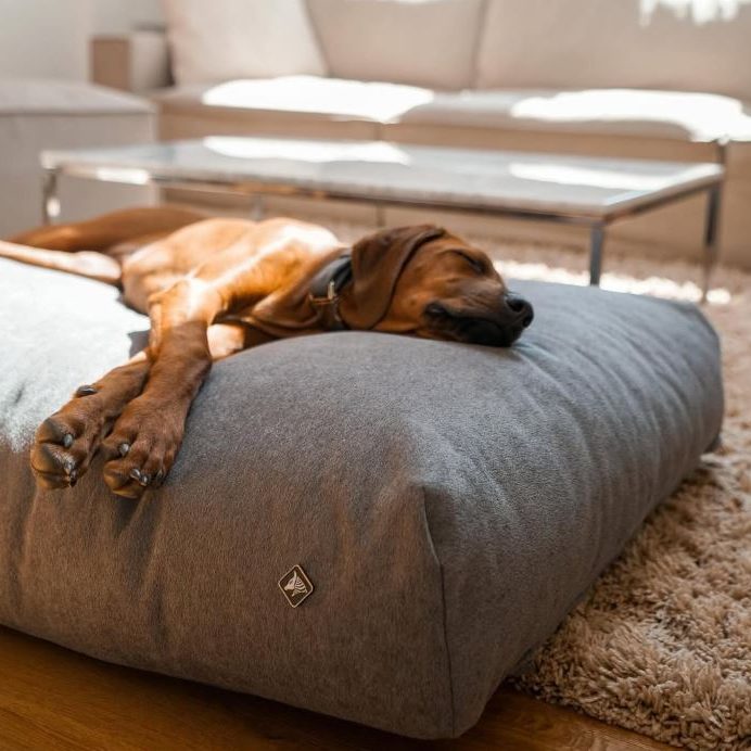 Komfortable & ergonomische Hundebetten von Anubis – perfekte Erholung für Vierbeiner